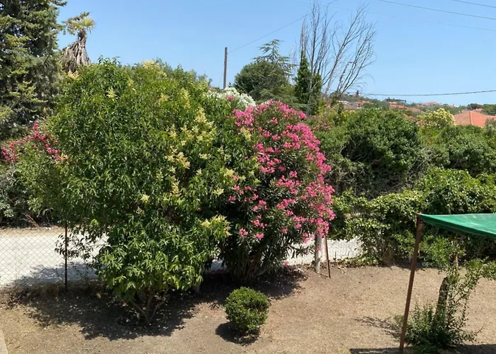 Сasa de vacaciones Yota's House Vergia